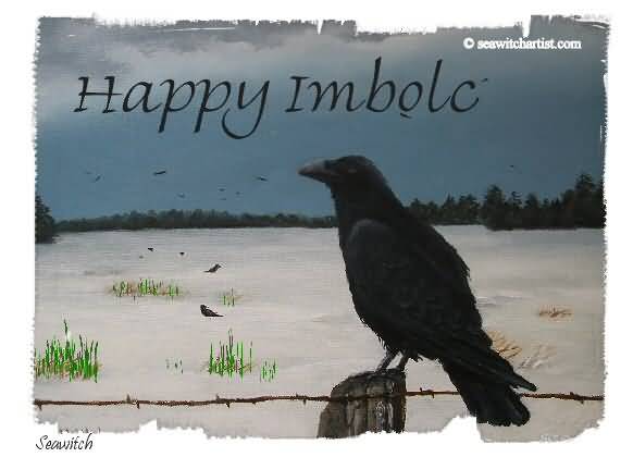 Happy Imbolc Crow Picture