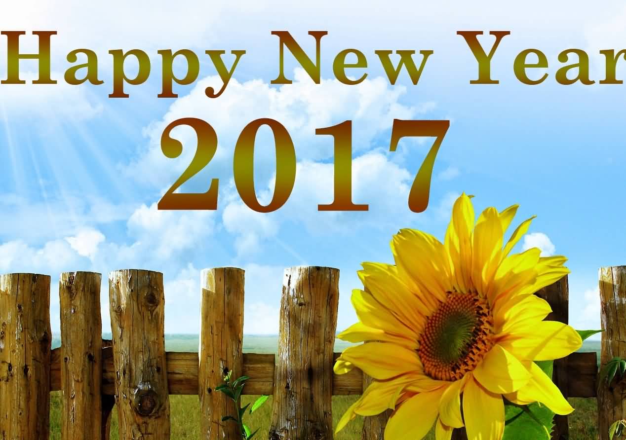 Happy New Year 2017 Sunflower Picture