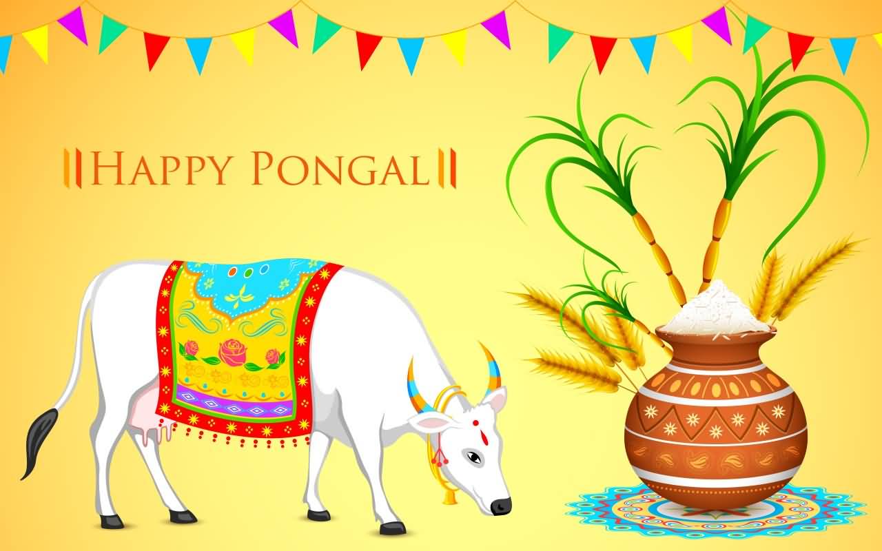 Happy Pongal Cow, Pot Of Rice And Sugarcane Illustration