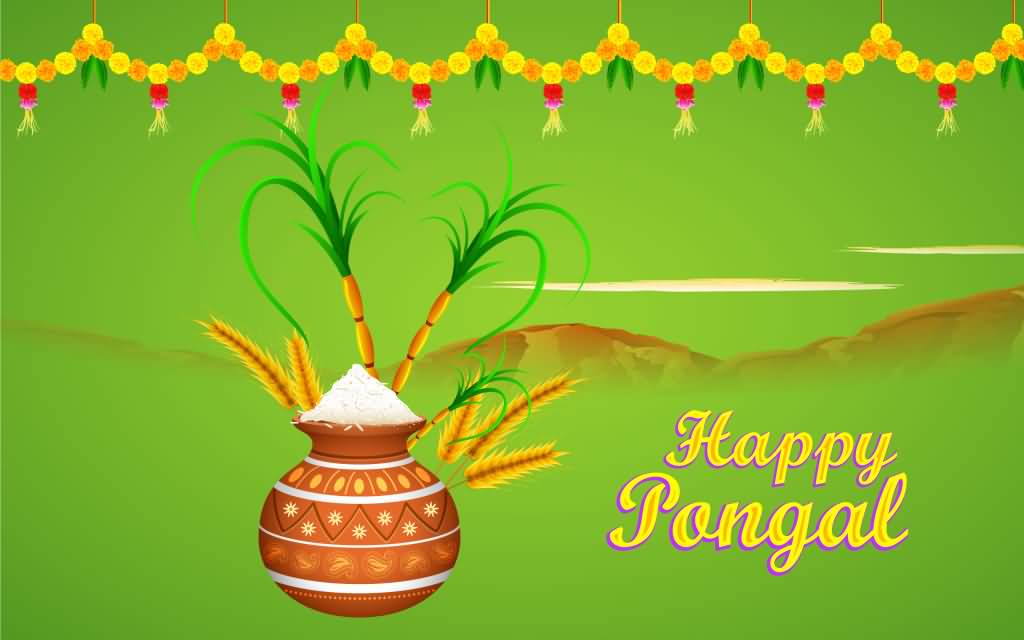 Happy Pongal Pot Of Rice And Sugarcane