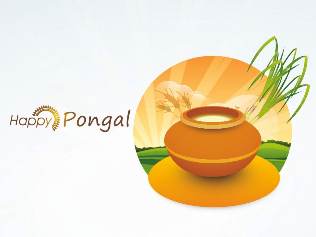 Happy Pongal Wishes Wallpaper