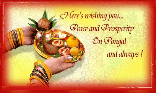Here’s Wishing You Peace And Prosperity On Pongal And Always