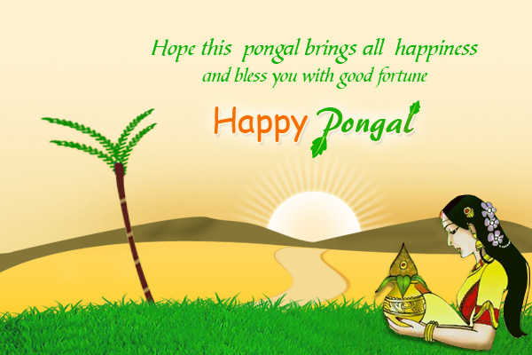 Hope This Pongal Brings All Happiness And Bless You With Good Fortune Happy Pongal