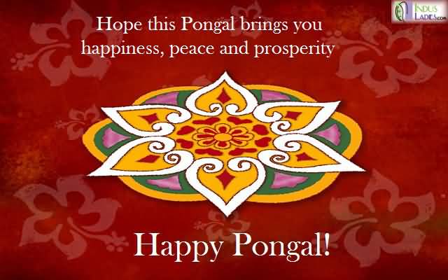 Hope This Pongal Brings You Happiness, Peace And Prosperity Happy Pongal