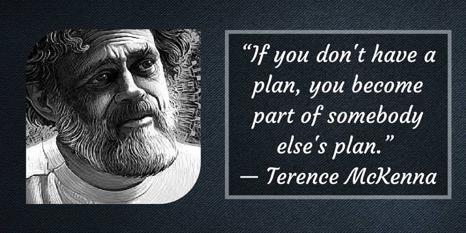 If you don't have a plan, you become part of somebody else's plan. Terence McKenna