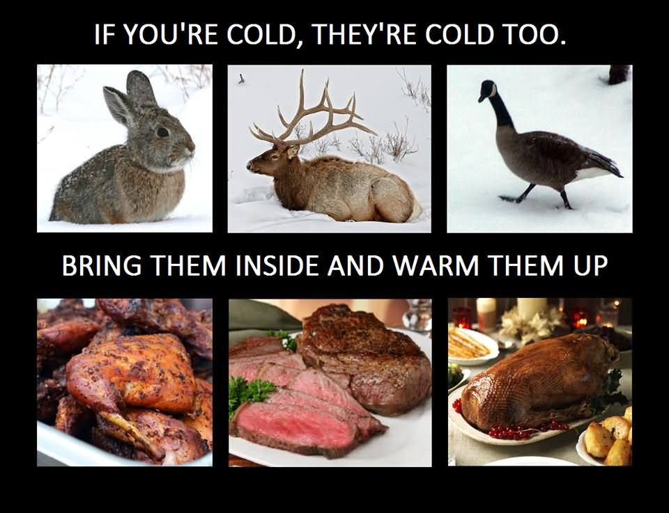 If you're cold they're cold too. Bring them inside and warm them up.