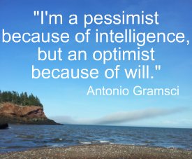 I'm a pessimist because of intelligence, but an optimist because of will. Antonio Gramsci