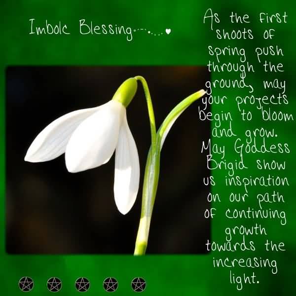 Imbolc Blessings As The First Shoots Of Spring Push Through The Ground May Your Projects Begin To Bloom And Grow