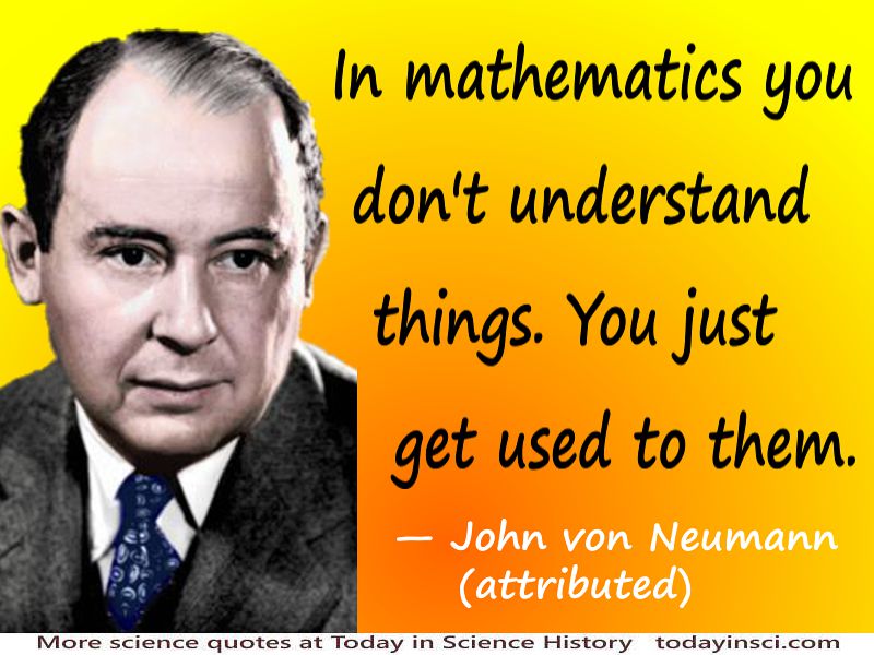 In mathematics you don’t understand things. John von Neumann