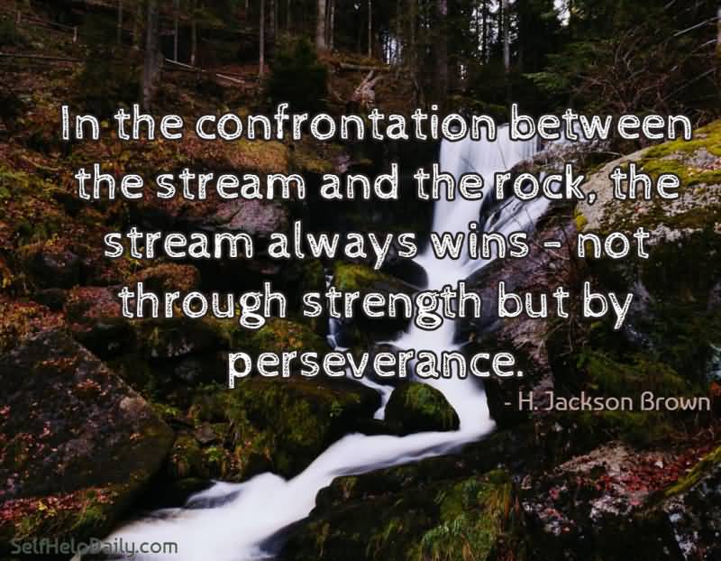 In the confrontation between the stream and the rock, the stream always wins- not through strength but by perseverance. H. Jackson Brown, Jr.