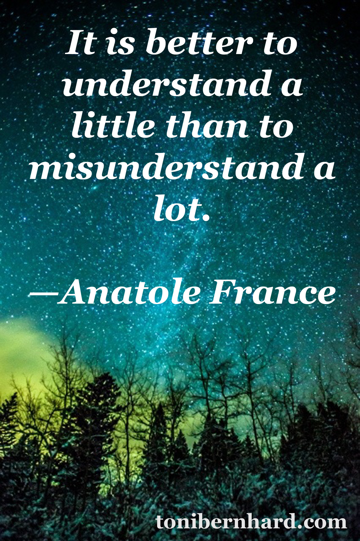 It is better to understand little than to misunderstand a lot. Anatole France
