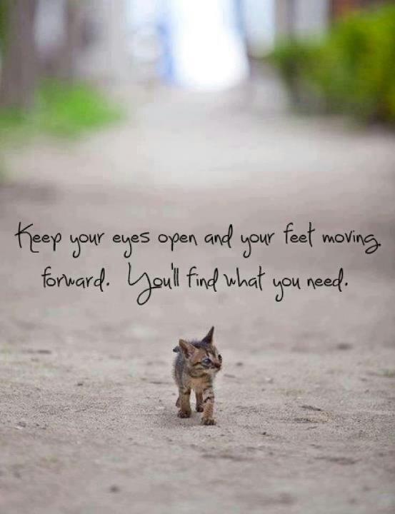 Keep your eyes open and your feet moving forward. You’ll find what you need