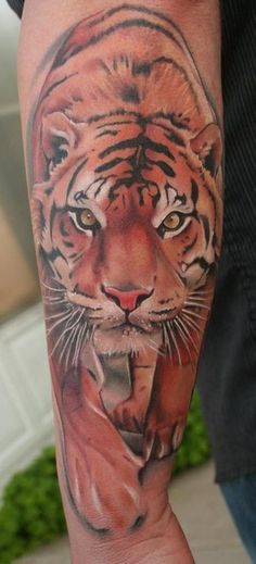 Left Arm Color Ink Tiger Tattoo