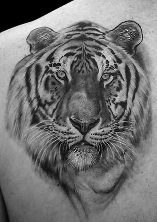 Left Back Shoulder Grey Ink Tiger Head Tattoo