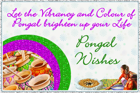 Let The Vibrancy And Color Of Pongal Brighten Up Your Life Pongal Wishes Glitter