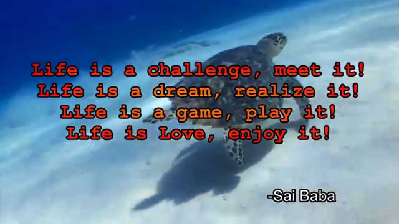 Life is a challenge, meet it. Life is a dream, realize it. Life is a game, play it. Life is love, enjoy it. Sai Baba