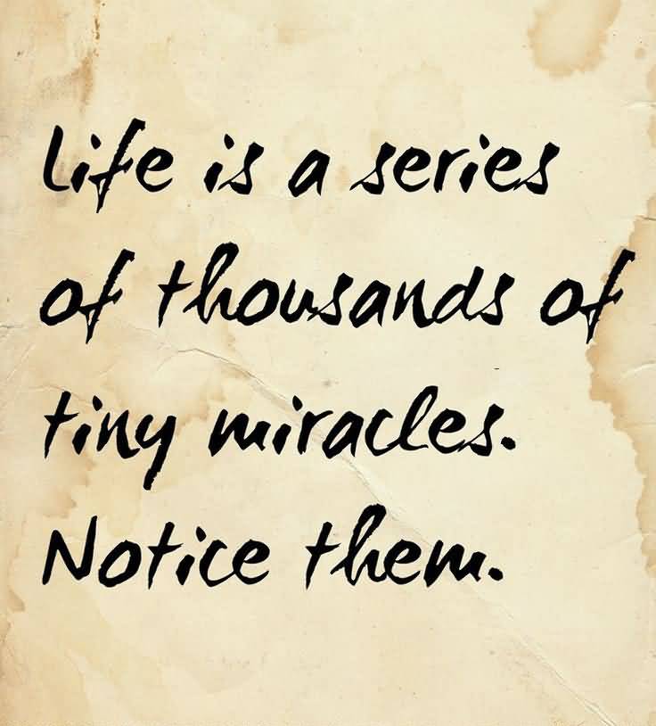 Life is a series of thousands of tiny miracles. Notice them