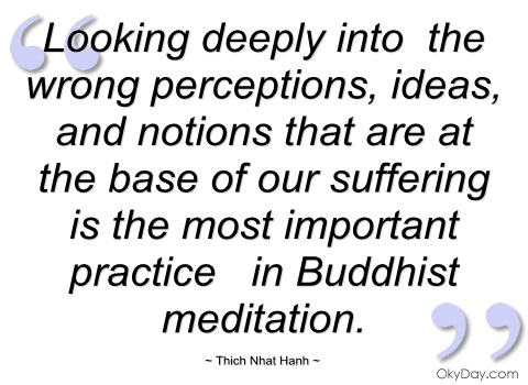 Looking deeply into the wrong perceptions, ideas, and notions that are at the base of our suffering is the most important practice in Buddhist meditation. Thich Nhat Hanh