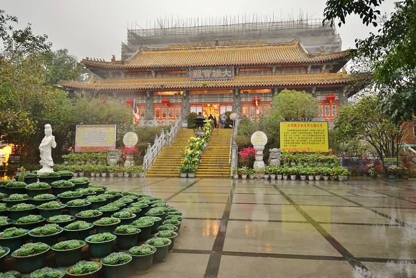 Lotus Flowers Garden On Front Facade Of Po Lin Monastery