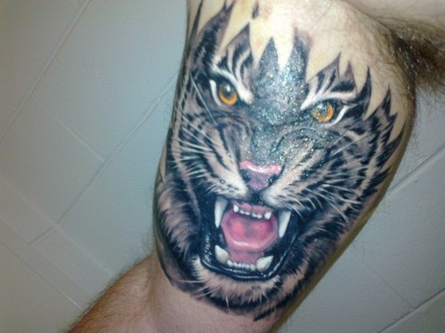 Man Inner Bicep Tiger Face Tattoo