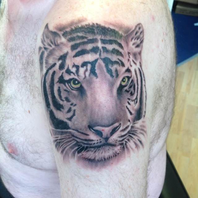 Man Left Shoulder Black And Grey Tiger Head Tattoo