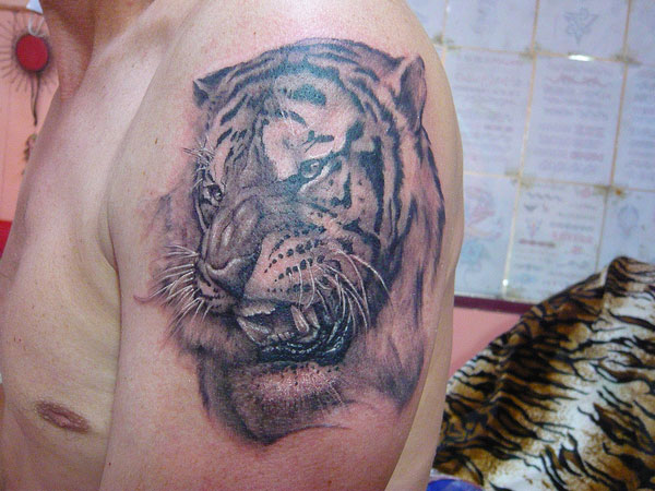 Man With Angry Black And Grey Tiger Face Tattoo On Shoulder