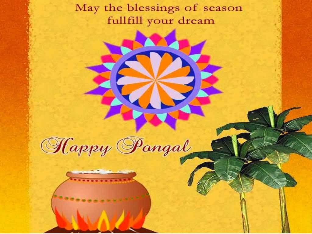 May The Blessings Of Season Fullfill Your Dream Happy Pongal