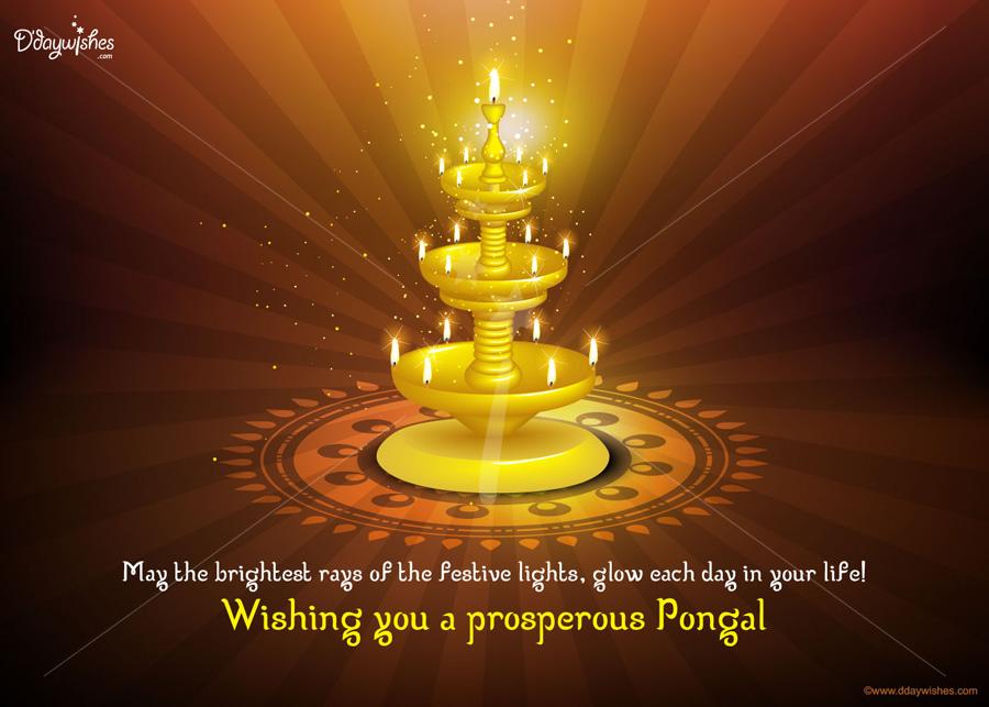 May The Brightest Rays Of The Festive Lights, Glow Each Day In Your Life Wishing You A Prosperous Pongal