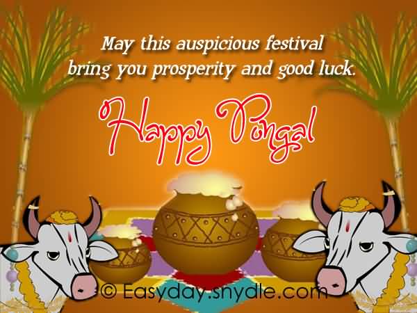 May This Auspicious Festival Bring You Prosperity And Good Luck Happy Pongal