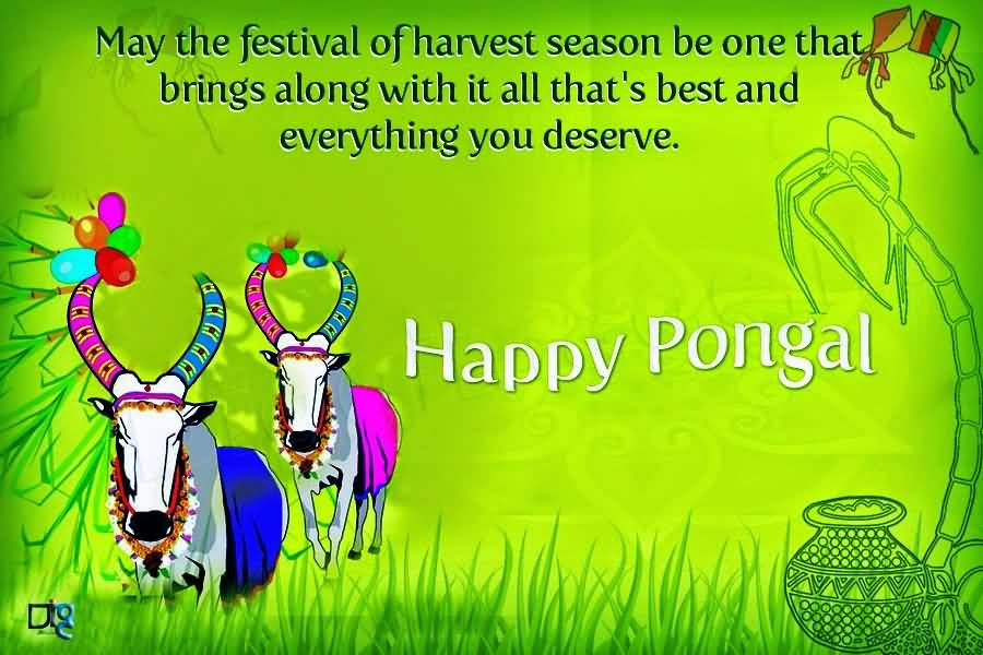 May This Festival Of Harvest Season Be One That Bring Along With It All That’s Best And Everything You Deserve Happy Pongal
