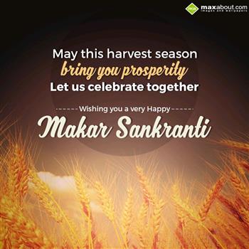 May This Harvest Season Bring You Prosperity Let Us Celebrate Together Wishing You A Very Happy Makar Sankranti