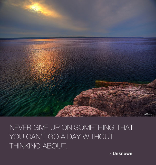Never give up on something that you can't go a day without thinking about.