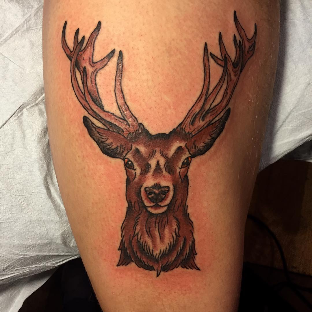 Nice Deer Head Tattoo For Women