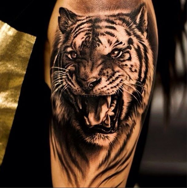 Nice Grey Tiger Head Tattoo On Left Sleeve