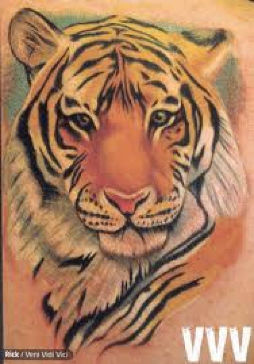 Nice Tiger Head Tattoo Image