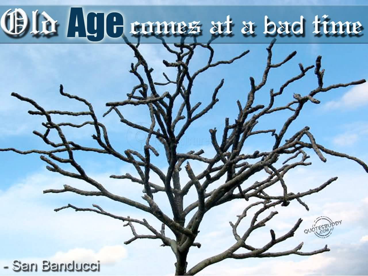 Old Age Comes at a Bad Time. San Banducci