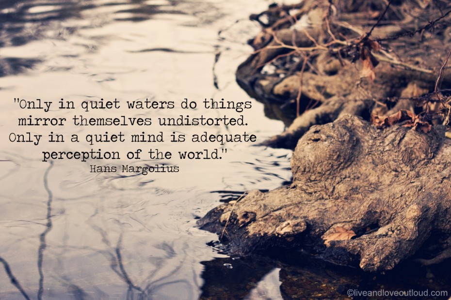 Only in quiet waters do things mirror themselves undistorted. Only in a quiet mind is adequate perception of the world. Hans Margolius