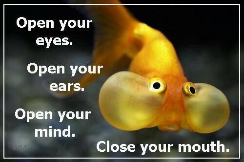 Open your eyes. Open your ears. Open your mind. Close your mouth