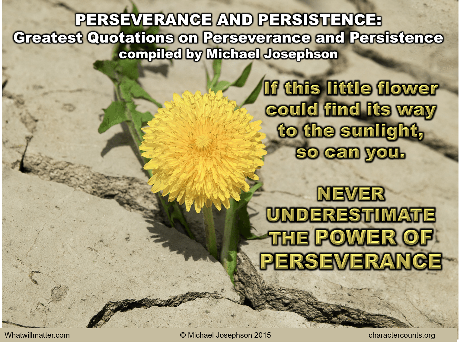 PERSEVERANCE & PERSISTENCE  Greatest Quotations on Perseverance and Persistence compiled by Michael Josephson. If this little flower could find its way to the sunlight so can you..