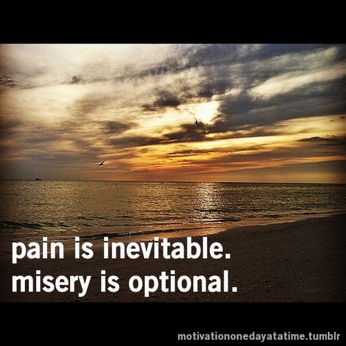 Pain is Inevitable, Misery is Optional