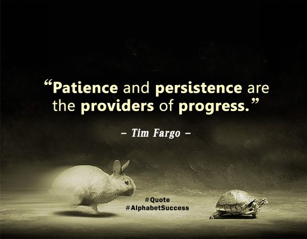 Patience and persistence are the providers of progress. Tim Fargo