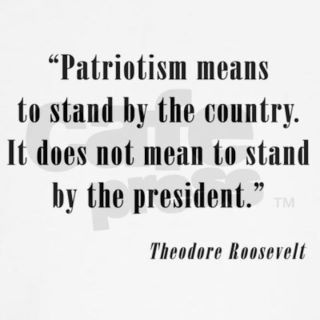 Patriotism means to stand by the country. It does not mean to stand by the president. Theodore Roosevelt