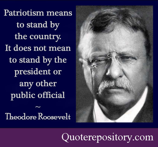 Patriotism means to stand by the country. It doesn’t mean to stand by the president or any other public official. Theodore Roosevelt