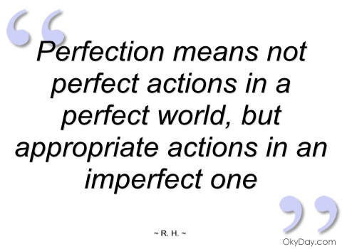 Perfection Means Not Perfect Actions In A Perfect World But Apporopriate Actions In An Imperfect One