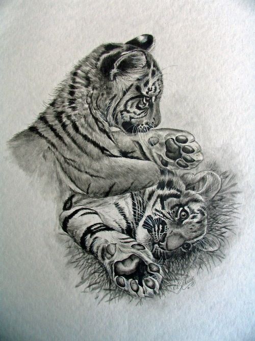 Playing Baby Tiger Tattoos Design