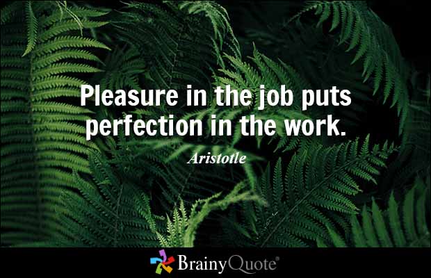 Pleasure in the job puts perfection in the work. Aristotle