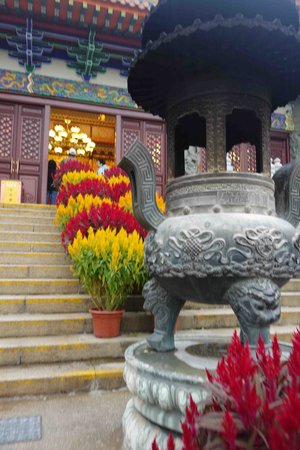 Po Lin Precious Lotus On The Entrance Of Po Lin Monastery