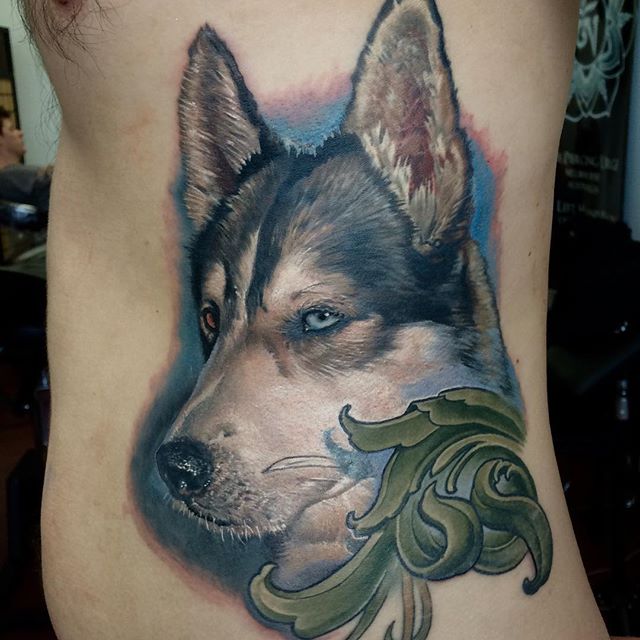 Realistic Dog Face Tattoo On Left Side Rib