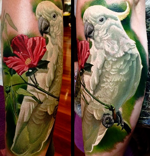 Realistic Parrot On Branch Tattoo On Left Leg Calf