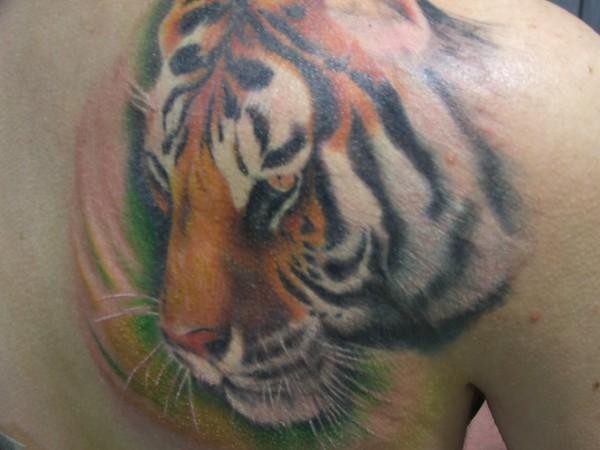 Realistic Tiger Face Tattoo On Back Shoulder